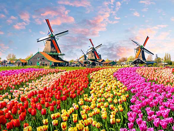 Escale AMSTERDAM