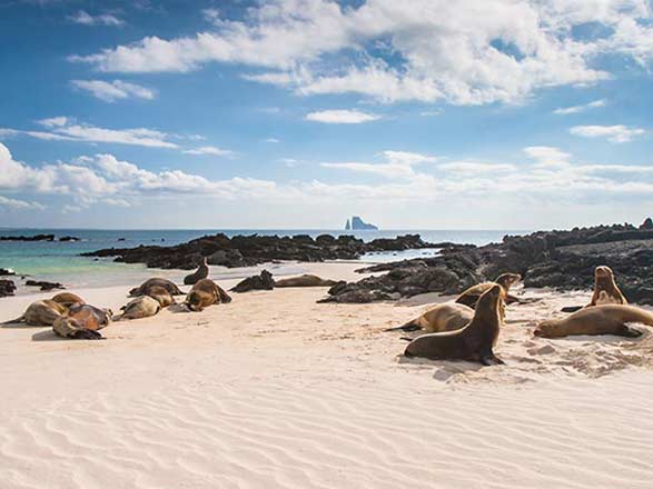 Escale Iles Galapagos (Baie Sullivan)