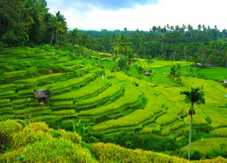 Escale Bali (Indonésie)
