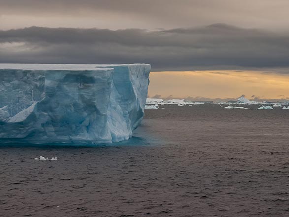 Escale Antarctique 