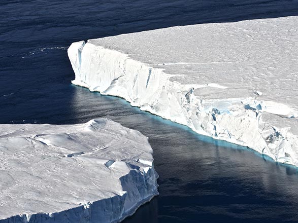 Escale Antarctique 