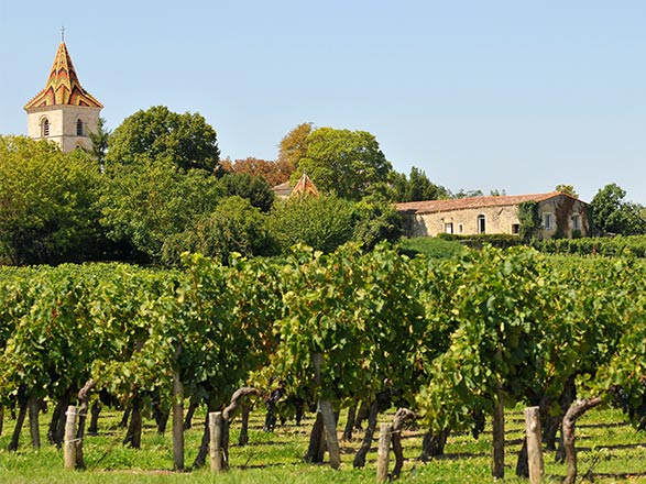 Escale BLAYE - LIBOURNE - Saint-Emilion