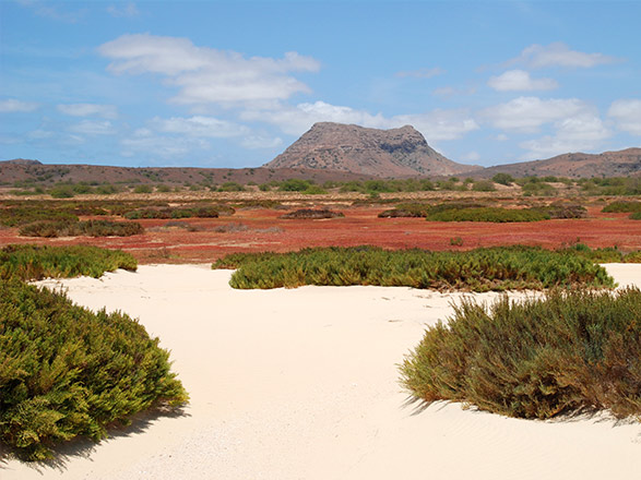 Escale Cap Vert (Boa Vista)