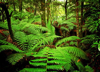 Escale Australie (Burnie)