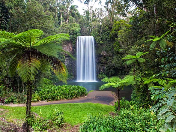 Escale Australie (Cairns)