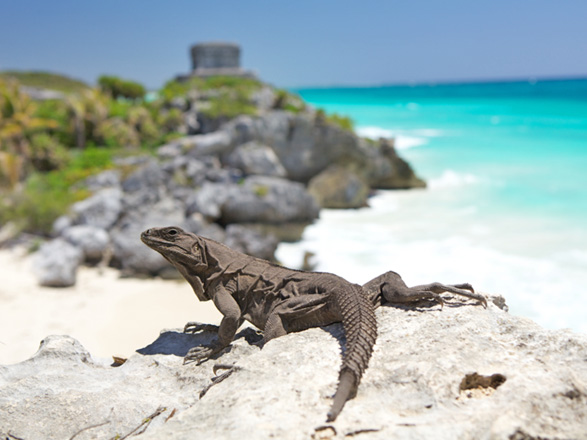 Escale Mexique (Costa Maya)