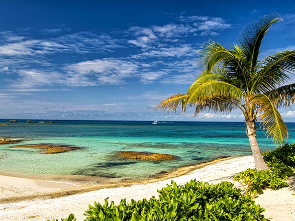 Escale Bahamas (Ile de Grand Bahama)