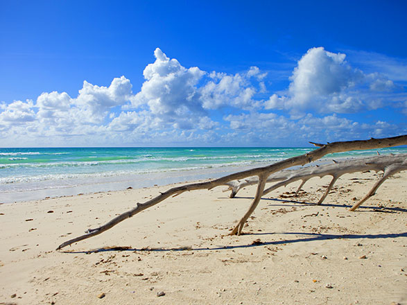 Escale Bahamas (Ile de Grand Bahama)