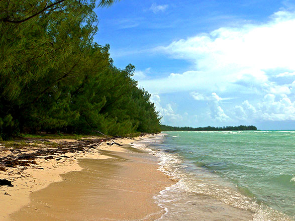 Escale Bahamas (Ile de Grand Bahama)