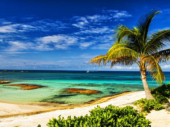 Escale Bahamas (Great Stirrup Cay)