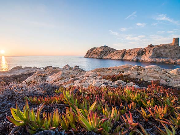 Escale Ile Rousse