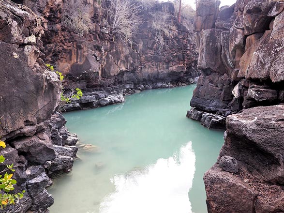Escale Iles Galapagos (Ile Seymour Nord)