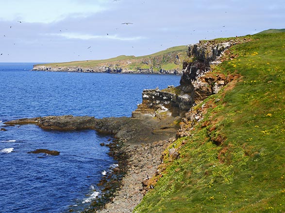 Escale Islande (Ile de Grimsey)