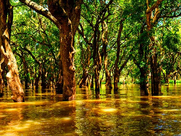 Escale Koh Chen - Kampon Tralach - Kampong Chhnang