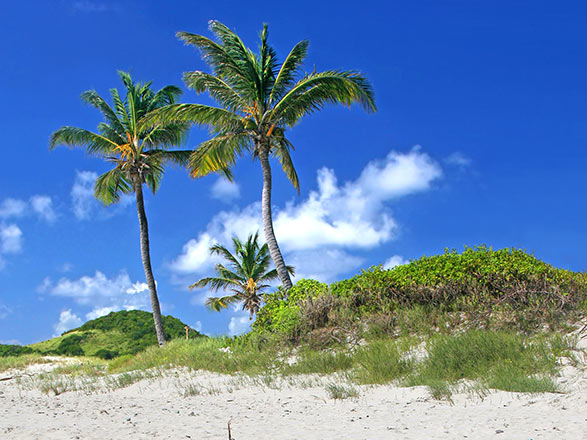 escale,Kingstown-Saint-vincent-et-les Grenadines_zoom,VC,KTN,36784.jpg