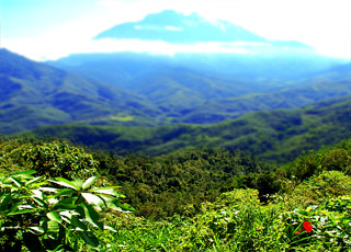 Escale Bornéo (Kota Kinabalu)