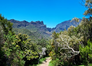 Escale La Réunion (La Possession)