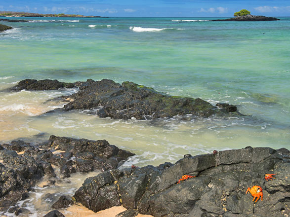 Escale Iles Galapagos (Las Bachas)