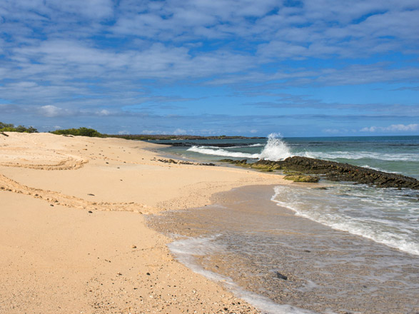 Escale Iles Galapagos (Las Bachas)