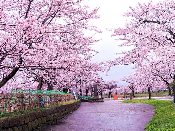 Escale Japon (Niigata)