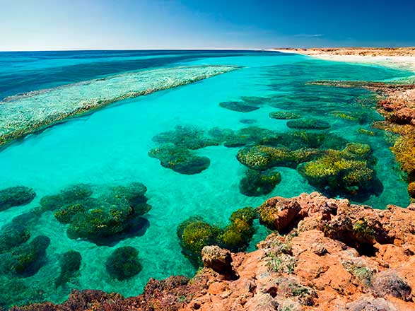 Escale Australie (Ningaloo)
