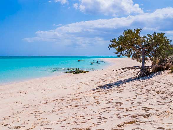 Escale Madagascar (Nosy Ve)