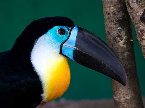 Escale Madagascar (Nosy Ve)