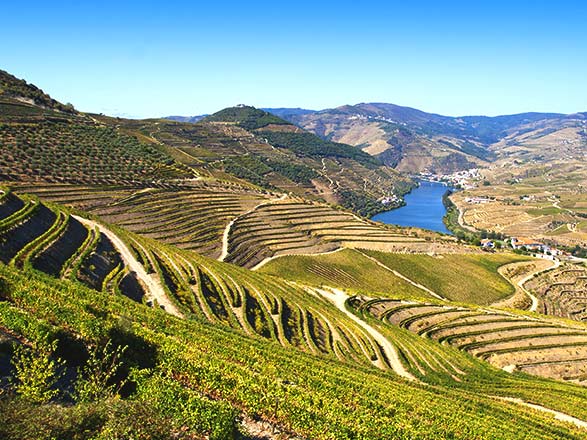 Escale Pinhão - Porto