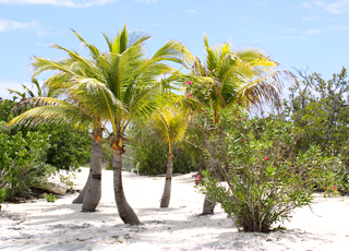 Escale Bahamas (Princess Cays)