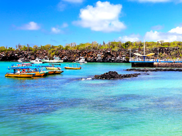 Escale Iles Galapagos (Puerto Ayora)