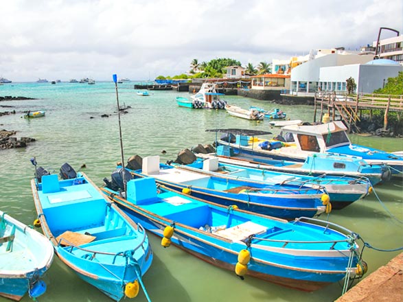 Escale Iles Galapagos (Puerto Ayora)