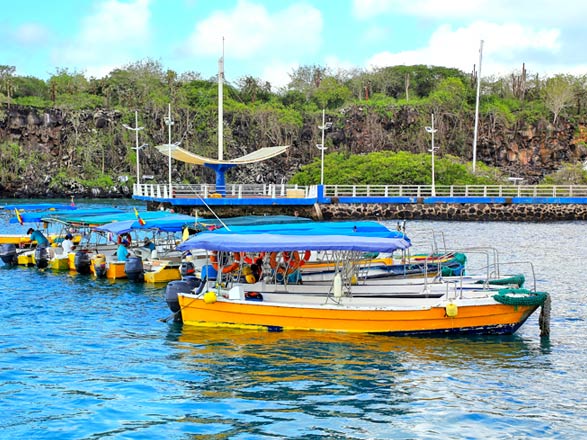 Escale Iles Galapagos (Puerto Ayora)