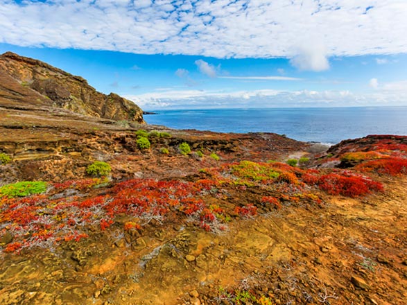 Escale Iles Galapagos (Punta Pitt)