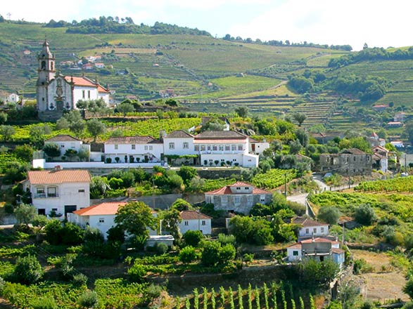 Escale Regua - Vega de Terron