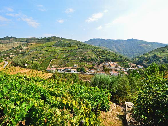Escale Regua - Vega de Terron