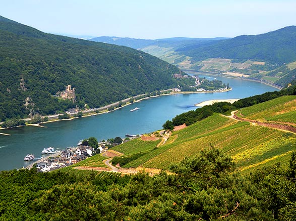 Escale Le Rhin Romantique - Rüdesheim