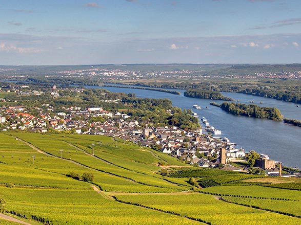 Escale Le Rhin Romantique - Rüdesheim