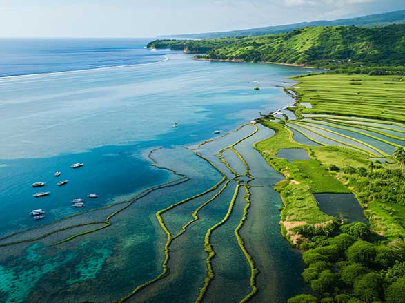 Escale Indonésie (Sumbawa)