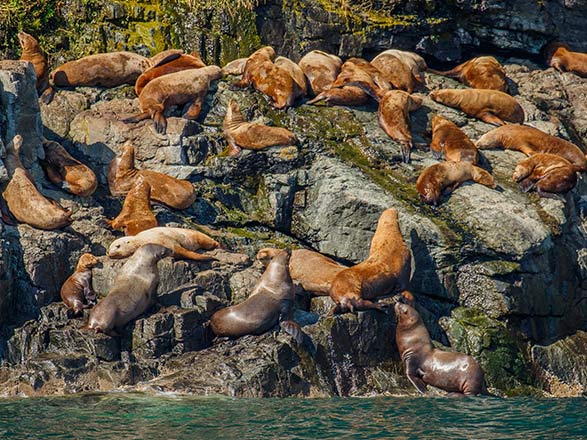 Escale Alaska (Valdez)