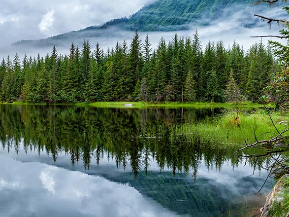 Escale Alaska (Valdez)