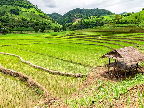 https://static.abcroisiere.com/images/fr/escales/escale,chiang rai-chiang rai_zoom,TH,CHR,521591.jpg
