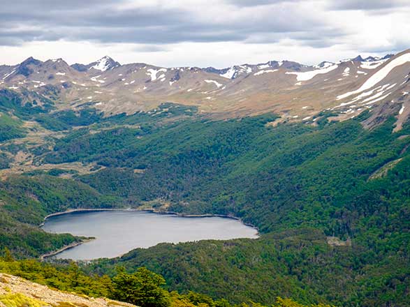 https://static.abcroisiere.com/images/fr/escales/escale,puerto williams-puerto williams_zoom,CL,WPU,522825.jpg