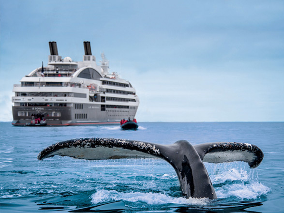 https://static.abcroisiere.com/images/fr/navires/navire,le-boreal_max,463,34662.jpg