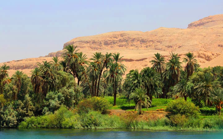 43199_720x450.jpg