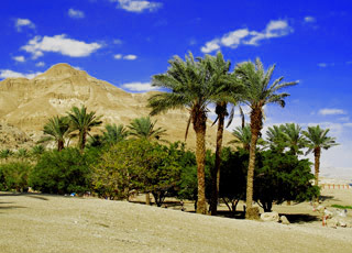 Escale EL HEGZ - EL KAAB - FAWAZA