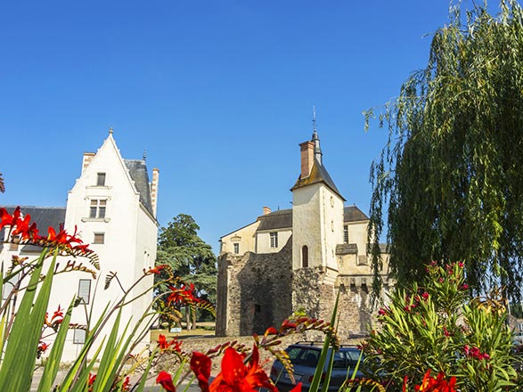 Escale ANCENIS - CHALONNES-SUR-LOIRE - Angers(