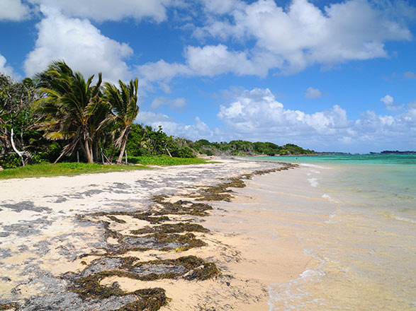 Escale CANOUAN - MAYREAU