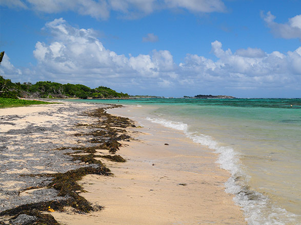 Escale CANOUAN - MAYREAU