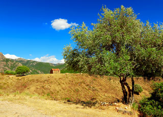 Escale Corse (Porto)