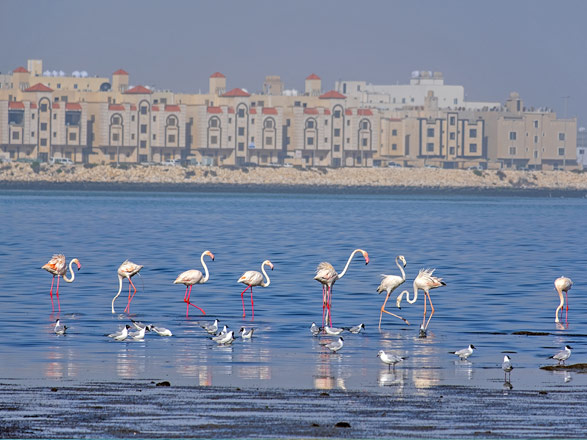 Escale Arabie Saoudite (Dammam)